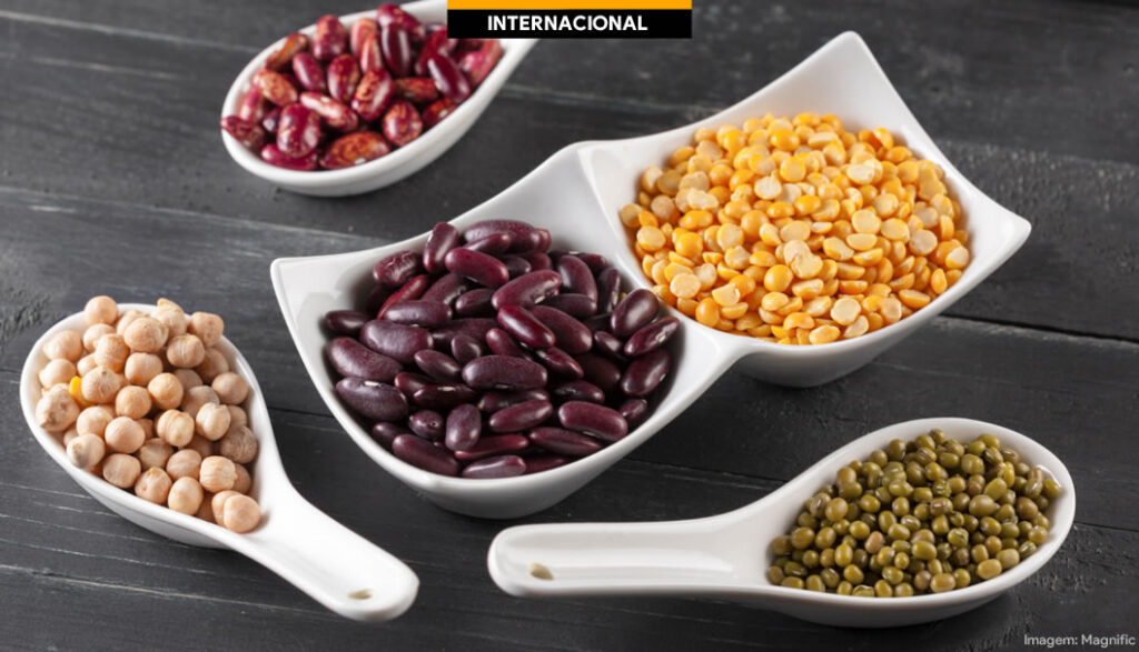 Proteínas vegetais fortalecem setor argentino de leguminosas