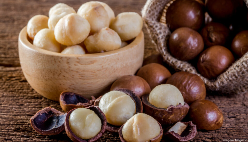 Macadâmia cresce na América Latina por demanda nutricional